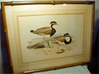 "Woodcocks" Bancroft/Maverick early lithograph was puchased by the owner in 1943 for $35.00.